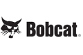 Bobcat